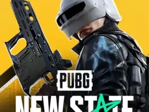 Pubg New state
